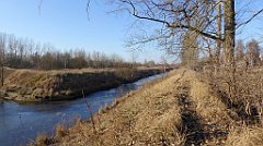 120_TZ60_P1060638_cr