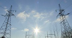 181_TZ60_P1060664_cr