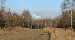 184_TZ60_P1060667_cr