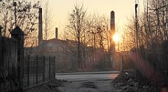 210_TZ60_P1060697_cr