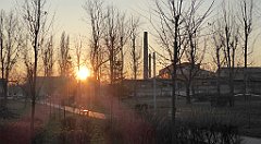 214_TZ60_P1060701_cr