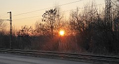 218_TZ60_P1060705_cr