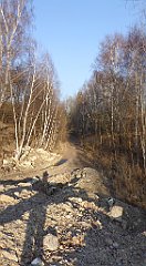 165_TZ60_P1060744_cr