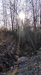 166_TZ60_P1060745_cr