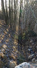 168_TZ60_P1060746_cr