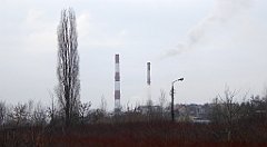 049_TZ60_P1070685_cr