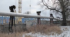 052_TZ60_P1070688_cr