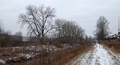 057_TZ60_P1070693_cr