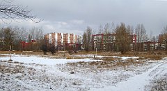 261_TZ60_P1070897_cr