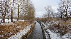 291_TZ60_P1070937_cr