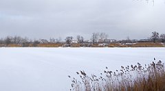 315_TZ60_P1070958_cr