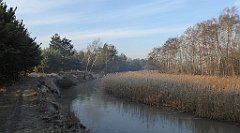 0067_TZ60_P1080366_cr