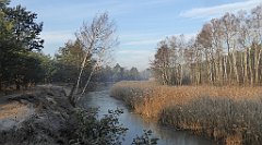 0069_TZ60_P1080368_cr