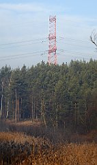 0071_TZ60_P1080370_cr