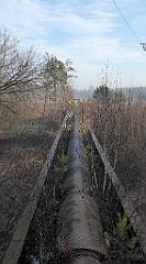 0103_TZ60_P1080381_cr