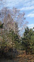 0106_TZ60_P1080384_cr