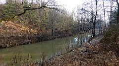 0122_TZ60_P1080399_cr