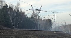 0147_TZ60_P1080422_cr