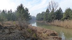 0158_TZ60_P1080429_cr