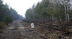 0168_TZ60_P1080437_cr