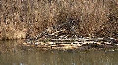 0201_TZ60_P1080463_cr