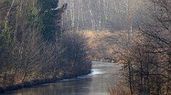 0237_TZ60_P1080485_cr