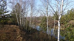 0241_TZ60_P1080489_cr