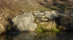 0246_TZ60_P1080494_cr