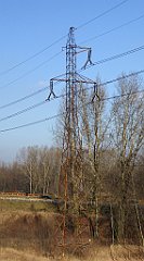 0318_TZ60_P1080558_cr