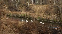 0325_TZ60_P1080565_cr