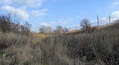 0373_TZ60_P1080612_cr