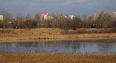 0401_TZ60_P1080643_cr