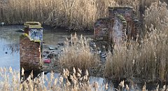 0443_TZ60_P1080670_cr