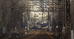 0446_TZ60_P1080673_cr