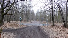 044_TZ60_P1080805_cr