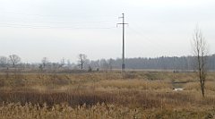 065_TZ60_P1080825_cr