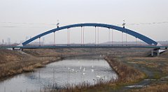 087_TZ60_P1080848_cr