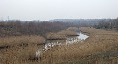 138_TZ60_P1080884_cr