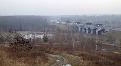 236_TZ60_P1080922_cr