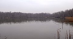 276_TZ60_P1080939_cr