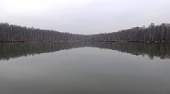 289_TZ60_P1080945_cr