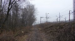 302_TZ60_P1080948_cr