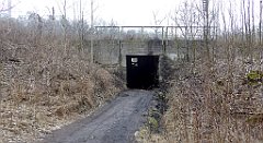 314_TZ60_P1080952_cr