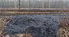 318_TZ60_P1080956_cr