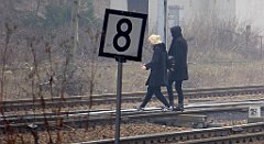 347_TZ60_P1080974_cr