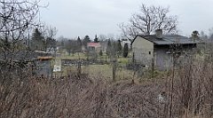 378_TZ60_P1080984_cr