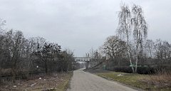 381_TZ60_P1080987_cr