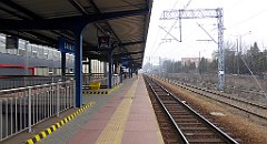 558_TZ60_P1090060_cr