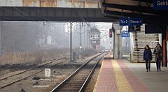 560_TZ60_P1090062_cr