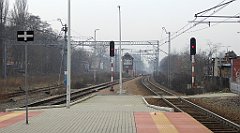 569_TZ60_P1090071_cr